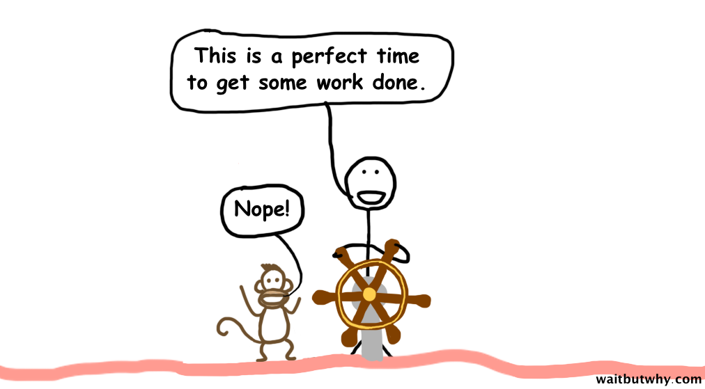 Monkey